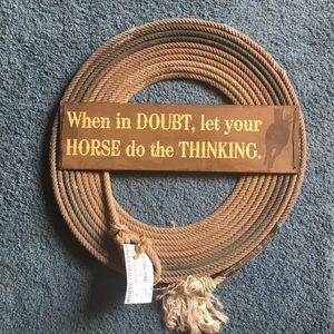“When In Doubt” Western Lariat Cowboy Wall Hanging